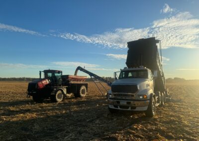 A red agricultural tractor unloading corn into a white dump truck on a harvested field under a clear blue sky with scattered clouds.