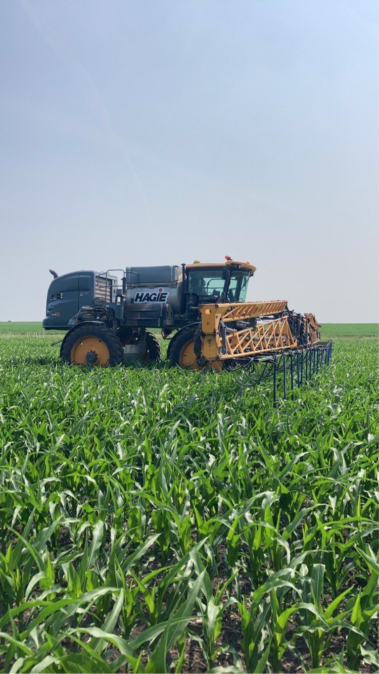 IMG_1988 A Hagie sprayer operating in a lush green cornfield, showcasing advanced agricultural technology for enhancing crop yields and sustainable farming practices, reflecting Millennial Ag Solutions' commitment to agricultural excellence.