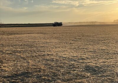 A tractor working in a sunlit agricultural field with a clear sky and scattered clouds, highlighting farming activities.